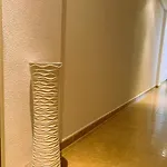 Fragata *